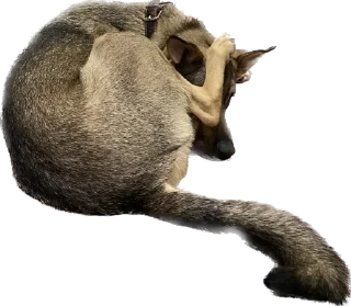 😐 emoji Шани и Вася Telegram sticker 11 of 39