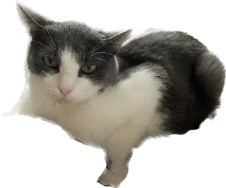 🫥 emoji Шани и Вася Telegram sticker 12 of 39