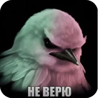 Sticker from Фразочкi