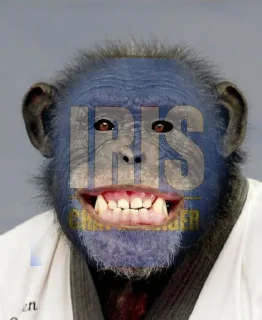 🙉 emoji Anti-Iris Action @sozdat_stikery_bot Telegram sticker 14 of 15