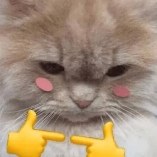 💗 emoji Cats pack Telegram sticker 13 of 22