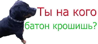 😡 emoji Путин Telegram sticker 16 of 22