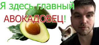 💪 emoji Путин Telegram sticker 8 of 22
