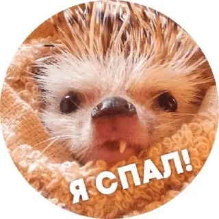 🤟 emoji Alenaeit Telegram sticker 7 of 17
