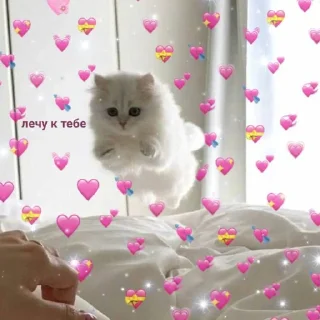 💖 emoji Люблю Telegram sticker 9 of 26