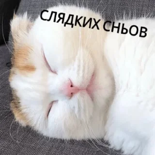 💖 emoji Люблю Telegram sticker 10 of 26