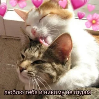 💖 emoji Люблю Telegram sticker 18 of 26