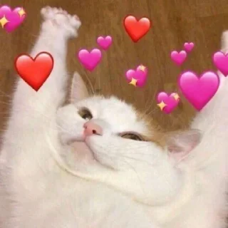 💖 emoji Люблю Telegram sticker 20 of 26