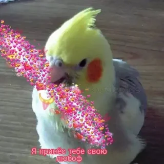 💖 emoji Люблю Telegram sticker 12 of 26