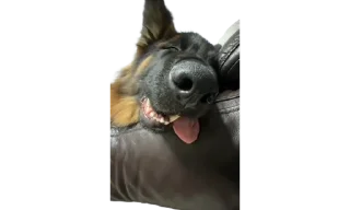 🤤 emoji micro gsd Telegram sticker 6 of 35