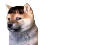 😐 emoji Мікро-Пес Telegram sticker 8 of 14