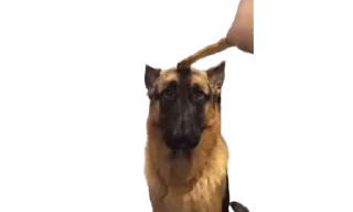 🥺 emoji micro gsd Telegram sticker 7 of 35