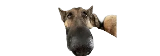 🫠 emoji micro gsd Telegram sticker 21 of 35