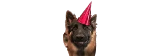 🥳 emoji micro gsd Telegram sticker 18 of 35