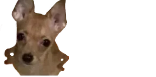 🙄 emoji Мікро-Пес Telegram sticker 7 of 14