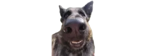 😶 emoji micro gsd Telegram sticker 20 of 35