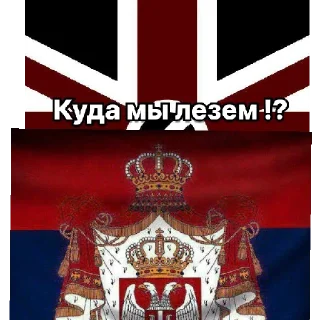 Sticker from Жиза ООН 🇺🇳