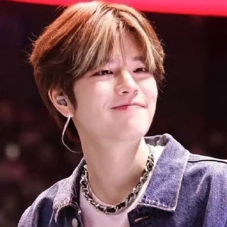 🐾 emoji seungmin @stickers_fr_lana Telegram sticker 18 of 30
