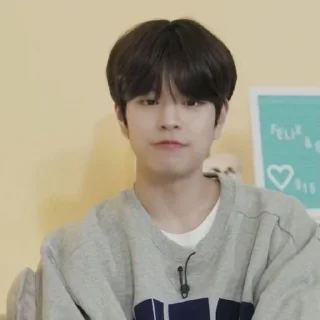 🐾 emoji seungmin @stickers_fr_lana Telegram sticker 2 of 30