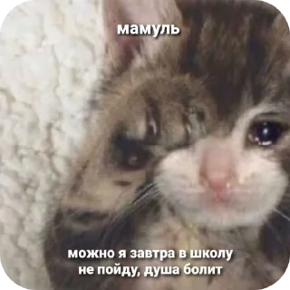 Sticker from стикеры от дмитрия