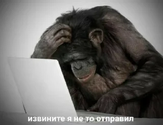 Sticker from дауны