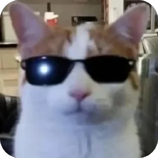 😎 emoji Ваники - драники, хз ➡️ @Ctikerubot Telegram sticker 18 of 90