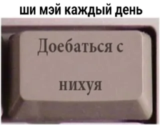 Sticker from мы