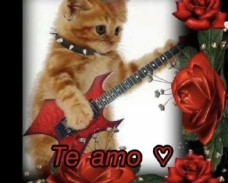 🌹 emoji Мана с кипой ➡️ @Ctikerubot Telegram sticker 22 of 109