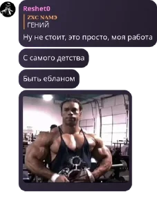 Sticker from СБОРИЩЕ ХАХЛОВ pack by @QuotLyBot