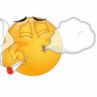 😵‍💫 emoji Bro Telegram sticker 17 of 29