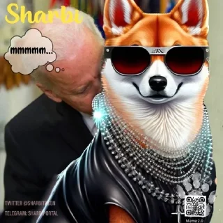 Sticker from Sharbi Memes