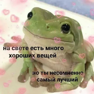 Sticker from котик