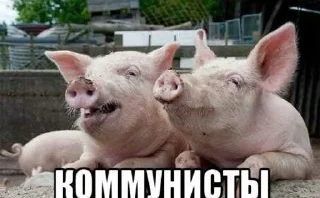 🐖 emoji Адольф Гитлер! Telegram sticker 17 of 28