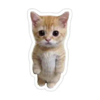 🐱 emoji 🤯🤯🤯 Telegram sticker 11 of 56