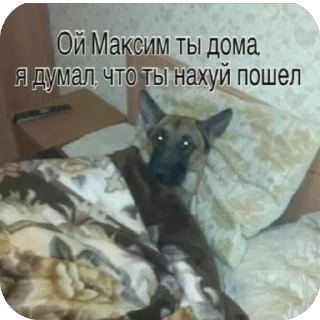 Sticker from Пенис