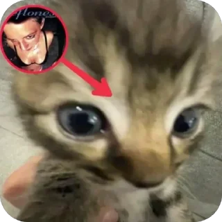 🫥 emoji ayala enen by @offstikbot Telegram sticker 19 of 33