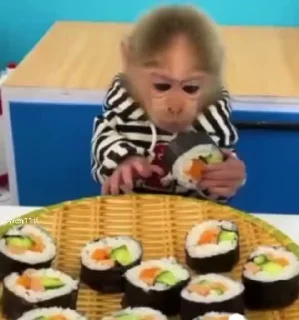 🍣 emoji манкей пон Telegram sticker 21 of 21