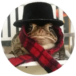 🧣 emoji Жабы(@alp_stickers) Telegram sticker 14 of 30