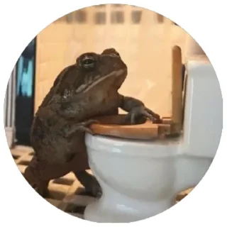 ☕️ emoji Жабы(@alp_stickers) Telegram sticker 23 of 30