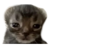 🙁 emoji Мікро-Кішки Telegram sticker 5 of 120