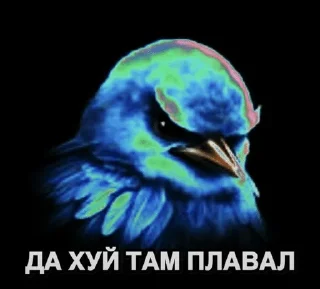 Sticker from Птицы Вряд-ли @Belguga332