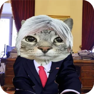 🐱 emoji Кошки правят миром Вобла (feat. Мина) Telegram sticker 5 of 30