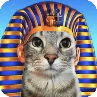 🐱 emoji Кошки правят миром Вобла (feat. Мина) Telegram sticker 1 of 30