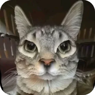 🐱 emoji Кошки правят миром Вобла (feat. Мина) Telegram sticker 19 of 30