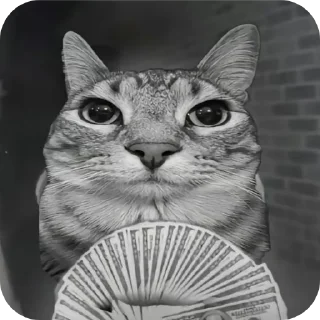 🐱 emoji Кошки правят миром Вобла (feat. Мина) Telegram sticker 4 of 30