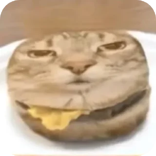 🍔 emoji Кошки правят миром Вобла (feat. Мина) Telegram sticker 15 of 30
