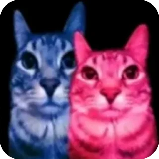🐱 emoji Кошки правят миром Вобла (feat. Мина) Telegram sticker 11 of 30