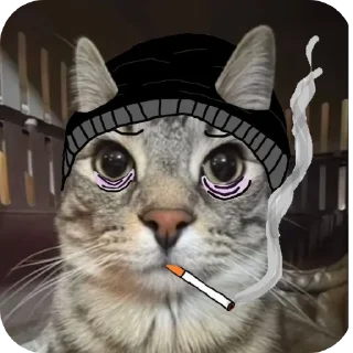 🐱 emoji Кошки правят миром Вобла (feat. Мина) Telegram sticker 7 of 30