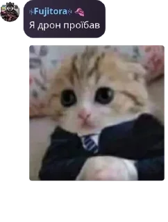 🌓 emoji Фуджифріки pack by @QuotLyBot Telegram sticker 23 of 120