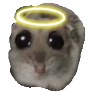 😇 emoji @ImAzow qotaqiz manda🙋🏻 Telegram sticker 19 of 120